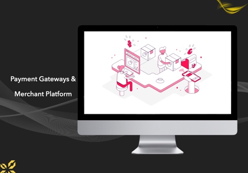 Custom Software Development Package Example: Payment Gateways & Merchant Platform