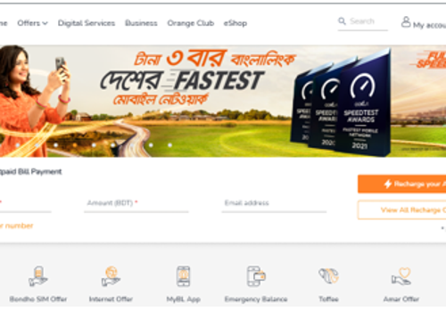 Custom Software Development Package Example: Revamping of Banglalink Website Portal Development
