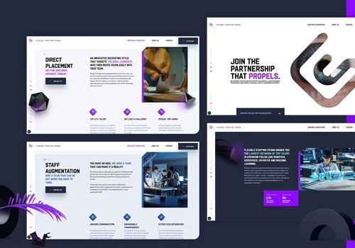 Web Design Package Example: FS Studio, Web Design and Development