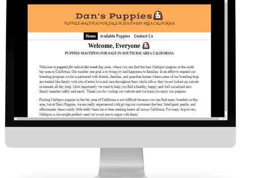 Web Design Package Example: OUR LOYAL CLIENTS