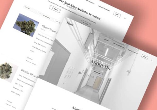 Web Design Package Example: Host Cannabis Co Website Design