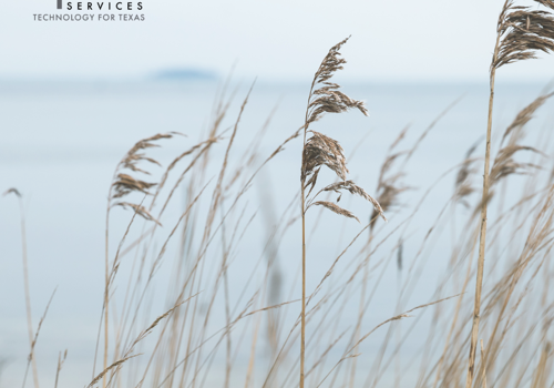 IT Strategy Consulting Package Example: IT Services for a Non-Profit Organization