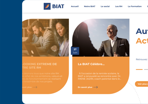 Web Development Package Example: Platform Design & Development - BIAT