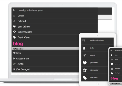 Web Development Package Example: Evmanya