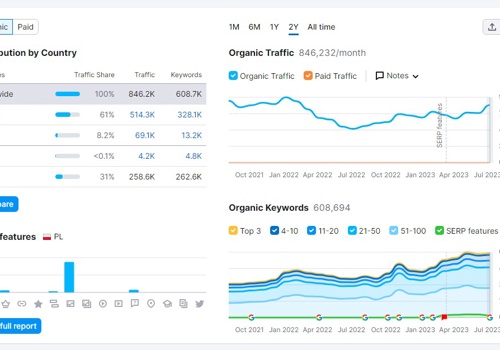 Search Engine Optimization Package Example: Optimize Search Traffic of Competitive niche