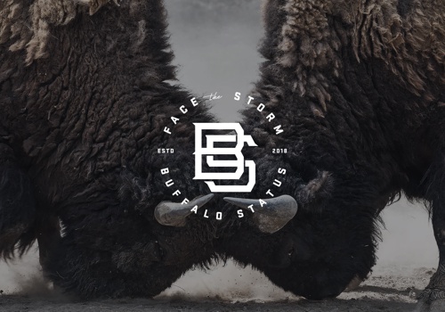 Branding Package Example: Buffalo Status Branding & Swag