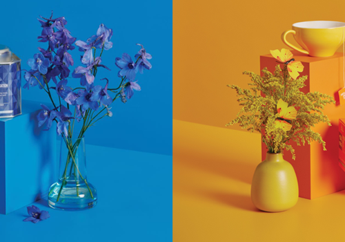 Search Engine Optimization Package Example: Tea Tonic