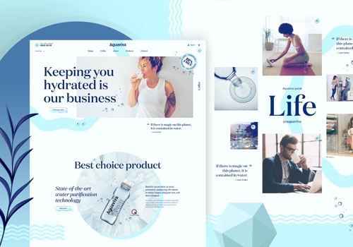 Web Design Package Example: Aquaviva, Web Design and Development