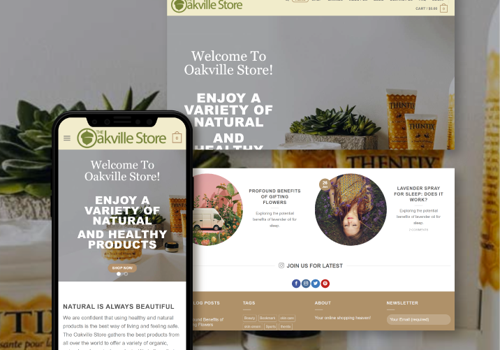 Web Design Package Example: Online Store Design and Amazon seller management