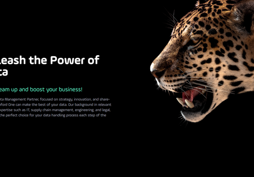 Branding Package Example: Benford One - rebranding & new website