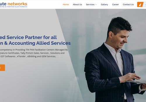 Web Development Package Example: Acute network website development