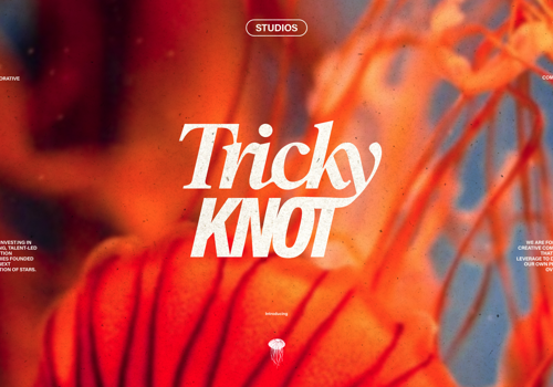 Branding Package Example: Tricky Knot — Branding and website