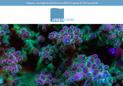 Web Development Package Example: Unique Corals - Ecommerce website - magento