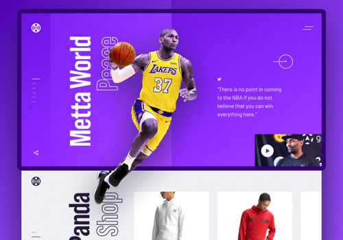 Web Design Package Example: Website Design for Metta World Peace