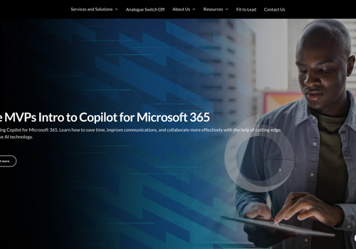 Search Engine Optimization Package Example: Bulk Link Building Servcie