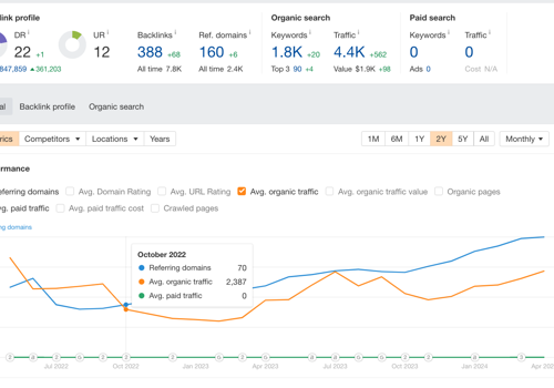 Search Engine Optimization Package Example: On Page SEO for One Face Clinic