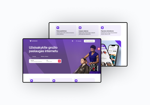 Marketing Strategy Package Example: Bringing 300% Organic Traffic Growth to Watalook