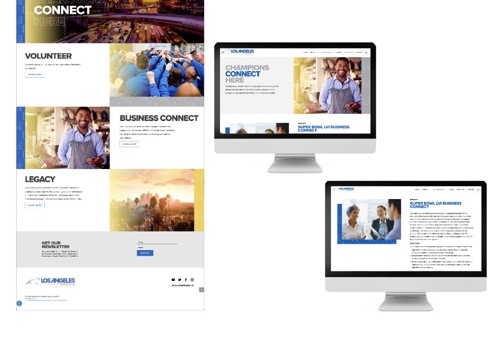 Web Design Package Example: LASEC Website