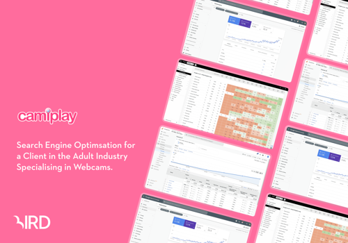 Pay Per Click Package Example: Camiplay - SEO & PPC