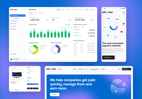 Web Design Package Example: Bill_Line – payment solutions for business