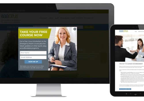 Email Marketing Package Example: Audience: Define and Reach Your Target Customers