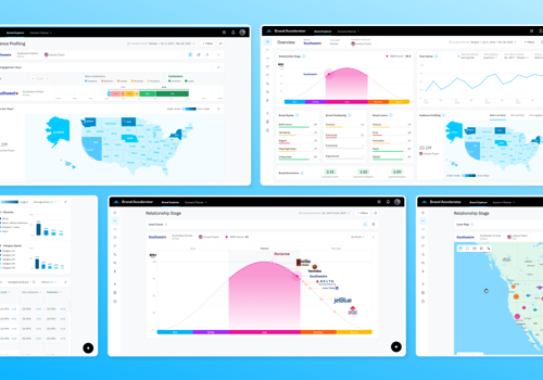 UX/UI Design Package Example: BERA