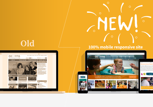 Search Engine Optimization Package Example: Website Migration, Custom Design & SEO For Acorns