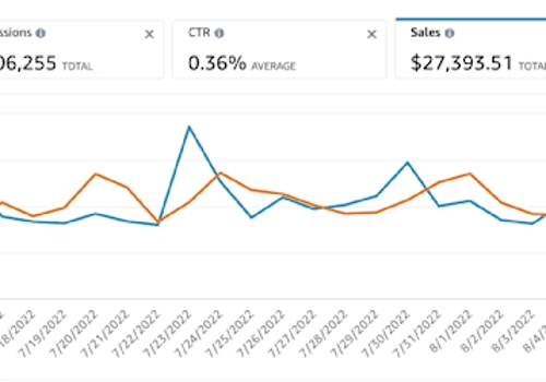 Pay Per Click Package Example: Rank Recovery for Pet Brand