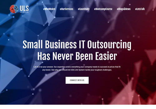 Social Media Marketing Package Example: USA Link System