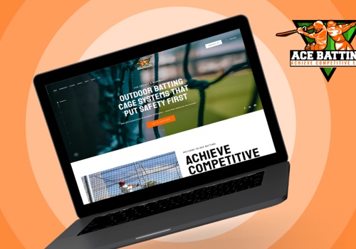 Logo Package Example: ACE Batting