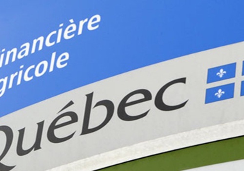 Video Marketing Package Example: Fédération Agricole Du Québec (FADQ)