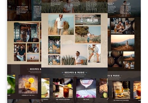 Web Design Package Example: Website for Tequila brand Juan Lobo Tequila