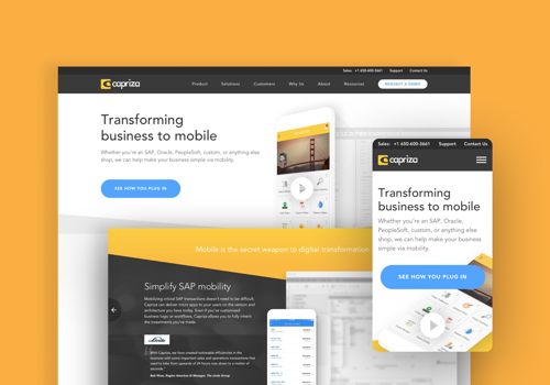 UX/UI Design Package Example: Mobilizing Around Online Conversion with Capriza