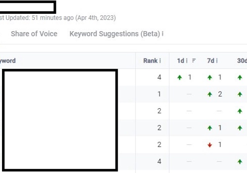 Search Engine Optimization Package Example: Organic growth and SEO ranking increase