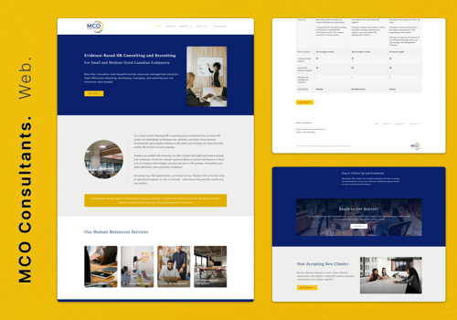 Web Design Package Example: Web Design for MCO Consultants