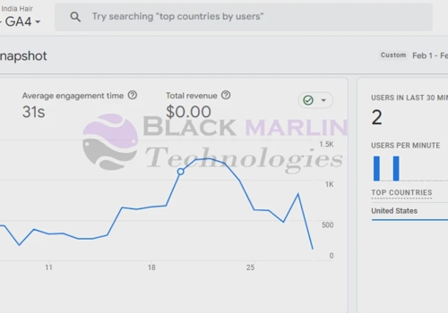 Search Engine Optimization Package Example: Website Design + SEO + Google & Meta Ads Manage
