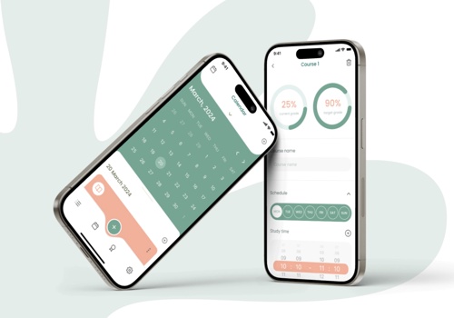 UX/UI Design Package Example: UX/UI Design for the Mobile Task Management Applic