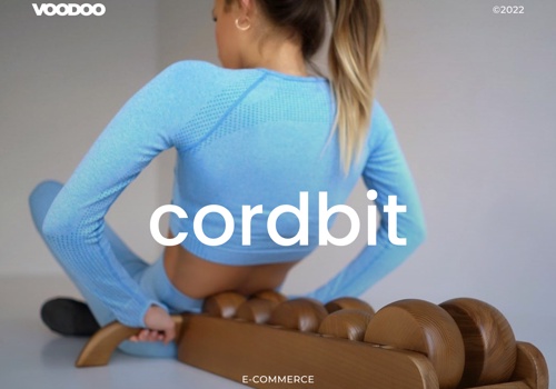 E-Commerce Development Package Example: Cordbit | Custom Shopify Website Development