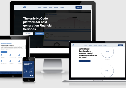 Web Development Package Example: WordPress development for a medium size company