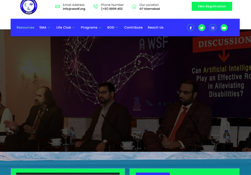 Custom Software Development Package Example: SEODF