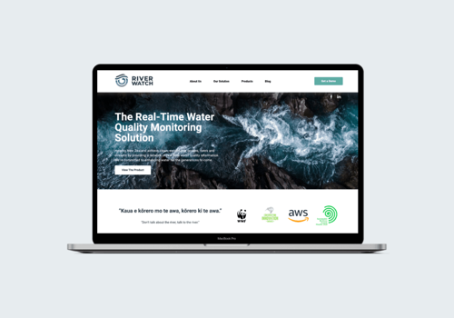 Web Design Package Example: RiverWatch Webflow Build