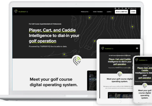 Web Development Package Example: WordPress Website Development I FairwayIQ Company