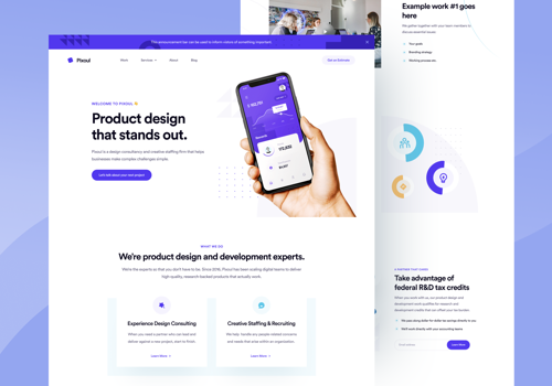 Web Design Package Example: Pixoul