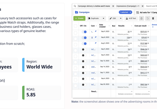 Social Media Marketing Package Example: Meta Ads Domination