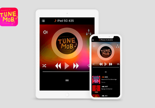 Mobile App Development Package Example: TuneMob