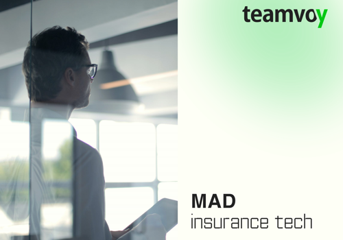 Custom Software Development Package Example: Insurance Tech - US Client