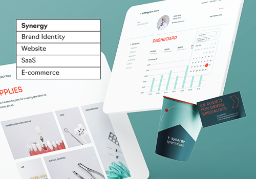 UX/UI Design Package Example: Synergy Specialists