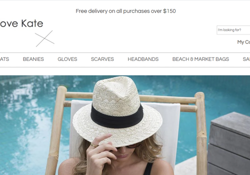 Web Development Package Example: Shopify Website Design and Development