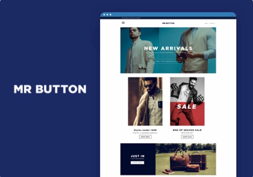 Web Design Package Example: Project with Mr Button