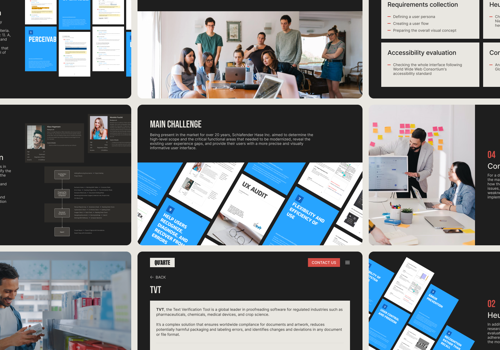 UX/UI Design Package Example: TVT - Proofreading Software Solution Design